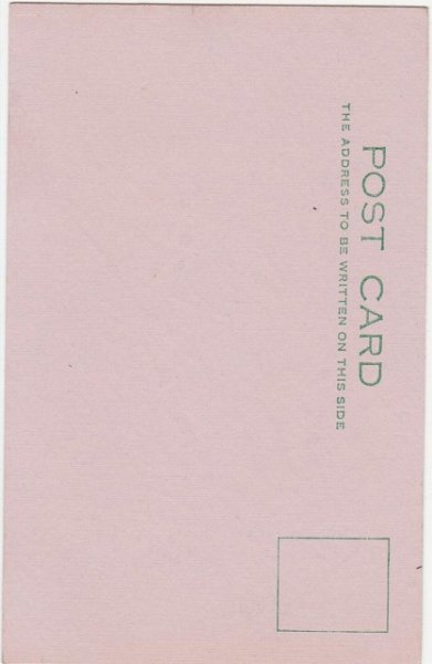 画像2: 生まれたてのヒヨコさんからのハッピーバースデー！ (2)