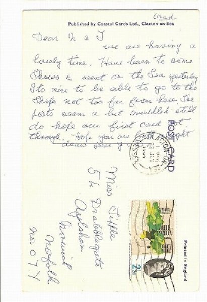 画像2: 壁紙の張り替え中 猫 (2)