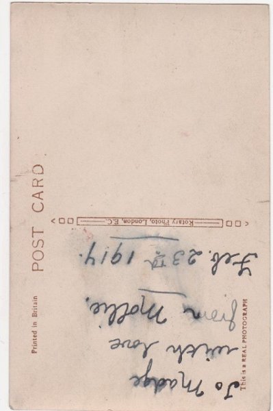 画像2: 2匹の猫 (2)