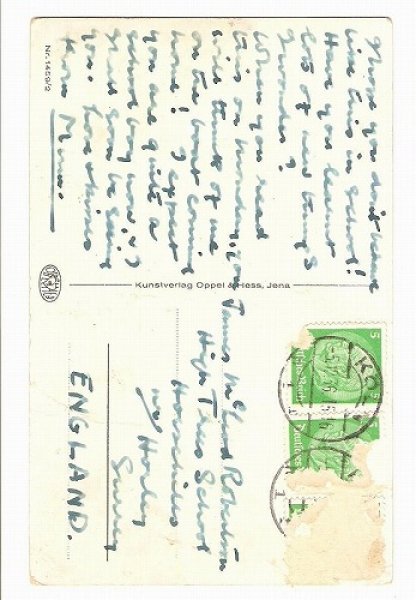 画像2: 猫の学校 けんか (2)