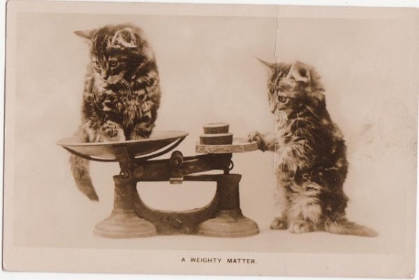 画像1: 秤と子猫 (1)