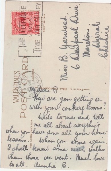 画像2: 3匹の猫 (2)