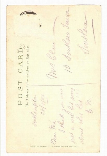 画像2: ひよこを見つめる猫 (2)