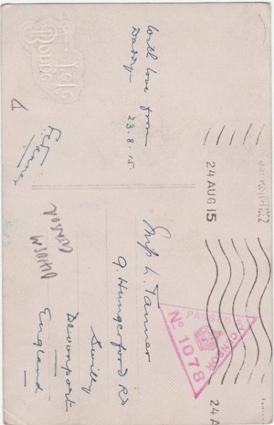 画像2: 3匹の猫 (2)