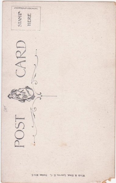 画像2: 3匹の子猫 (2)