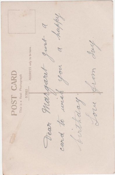 画像2: 植木鉢の中の子猫 (2)