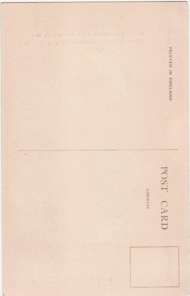 画像2: 釣りに行く猫 (2)