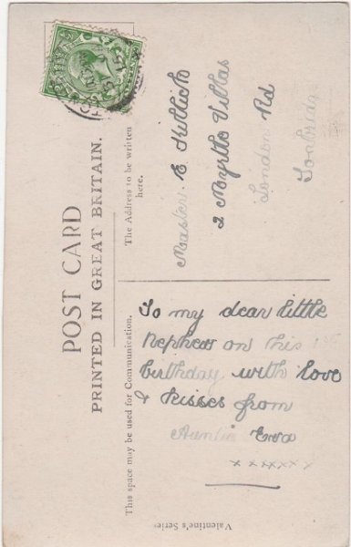 画像2: 3匹の猫 (2)