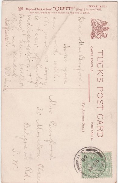 画像2: タバコの火を見つめる猫と犬 (2)