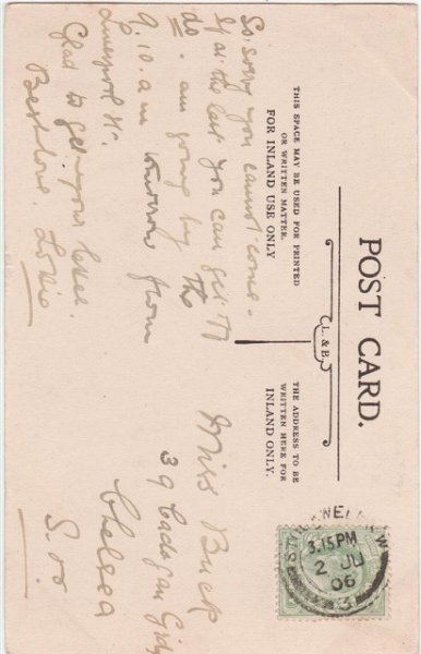 画像2: 木の上の猫たち (2)