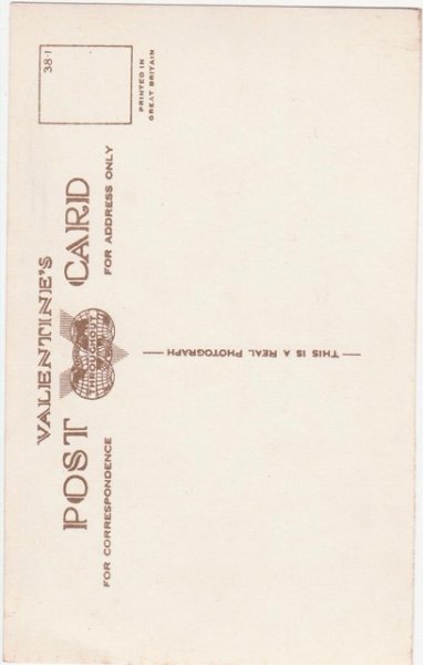 画像2: 3匹の猫 (2)