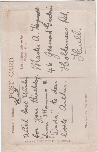 画像2: 白い猫 (2)