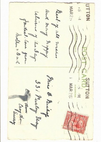 画像2: 新聞紙に隠れる猫 (2)