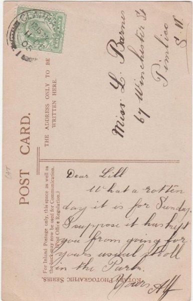 画像2: 2匹の子猫 (2)