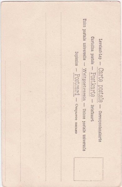 画像2: 窓際の猫 (2)