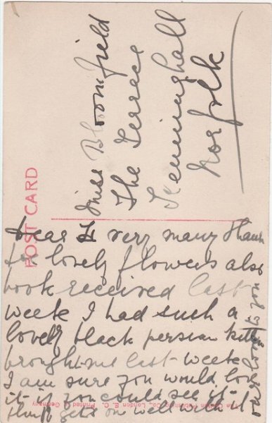 画像2: 赤いリボンの猫 (2)