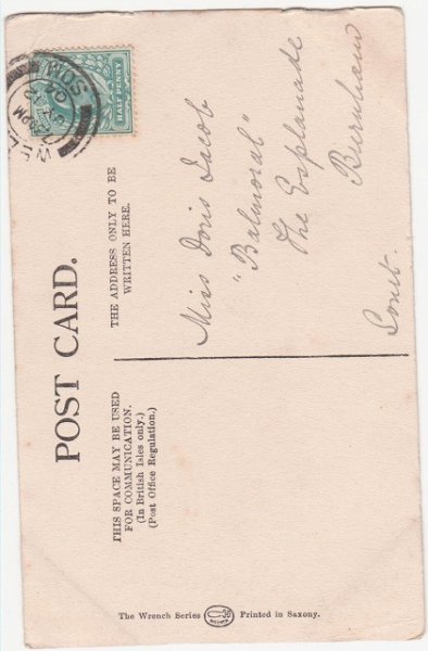 画像2: 3匹の猫と手押し車 (2)