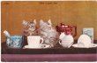 画像1: Five O'clock Tea 猫の５時のティータイム (1)