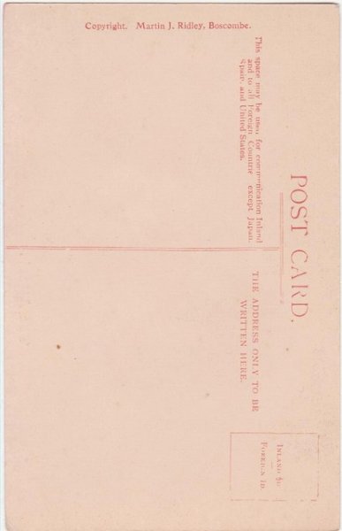 画像2: 3匹の猫 (2)