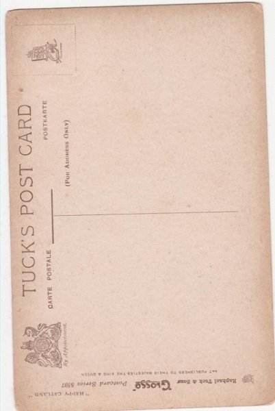 画像2: ブランコにのった猫 (2)