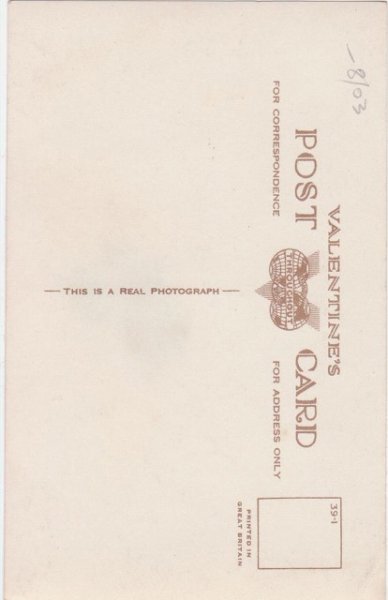 画像2: 月夜の猫 In the Moonlight (2)