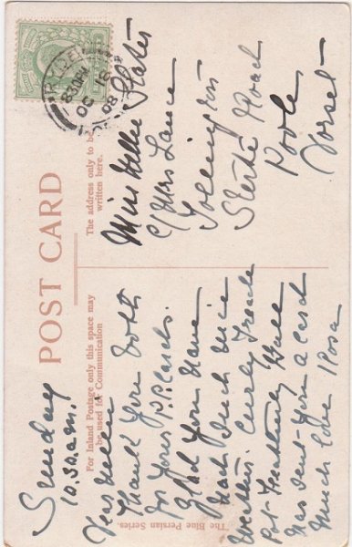 画像2: ブランコにのった4匹の猫 (2)