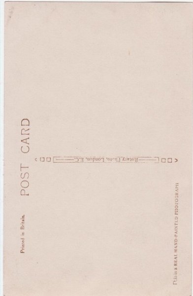 画像2: 2匹の猫 (2)