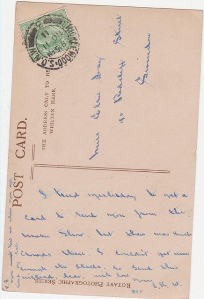 画像2: 3匹の猫 (2)