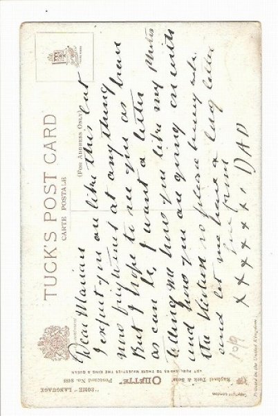 画像2: 犬のおもちゃに驚く黒猫 (2)