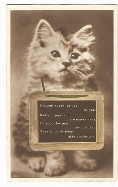 画像1: メッセージボードと猫 (1)