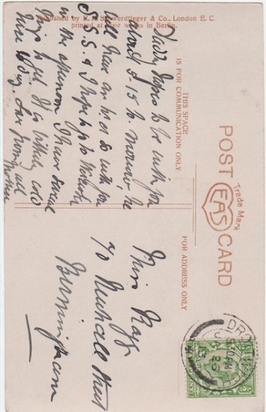 画像2: 3匹の猫 (2)