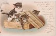 画像1: 木箱の中の猫たち　Helena Maguire (1)
