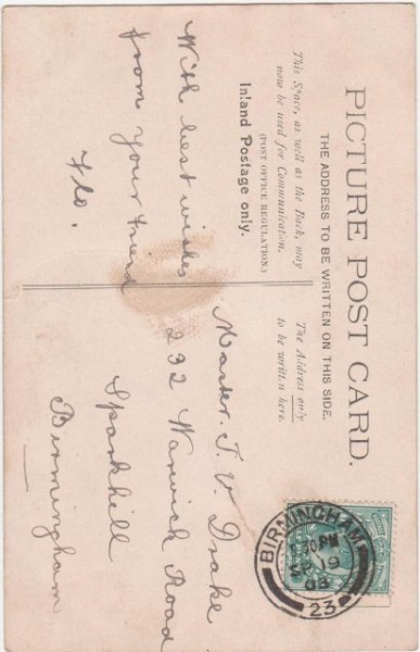 画像2: 猫と犬の微妙な距離 (2)