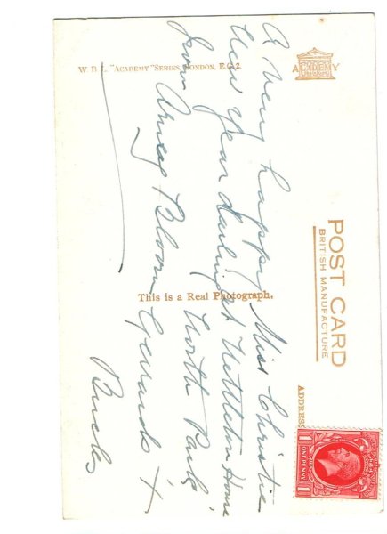 画像2: コッカースパニエル?の子犬 (2)