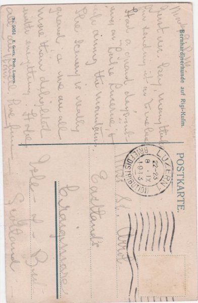 画像2: セントバーナード犬の親子 (2)