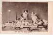 画像1: 船の上の猫 (1)