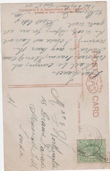 画像2: 5匹の子猫 (2)