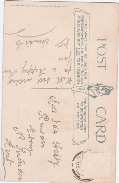 画像2: 物乞いをする犬たち Helena Maguire (2)