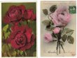 画像2: 薔薇のお花　４枚組 (2)