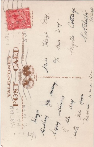 画像2: 5匹の子猫 (2)