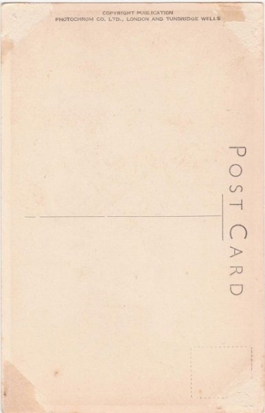 画像2: ブランコに乗る子猫 (2)