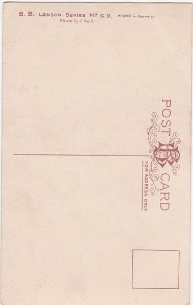 画像2: 白い猫 (2)