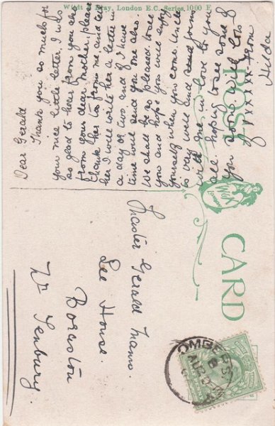 画像2: 3匹の子猫 (2)