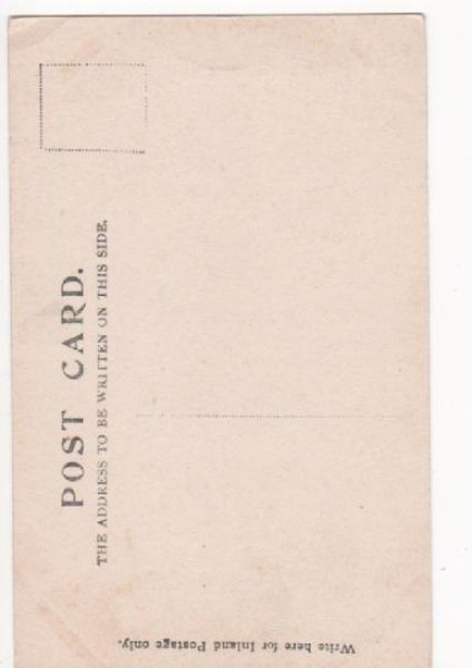 画像2: イギリス Barnard Castle お城 (2)