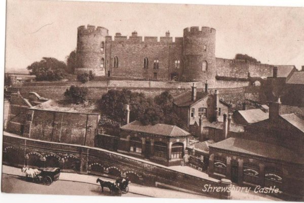 画像1: イギリス　Shrewsbury Castle お城 (1)