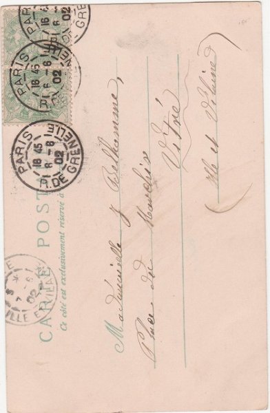 画像2: 猫の曲芸師たち Helena Maguire (2)