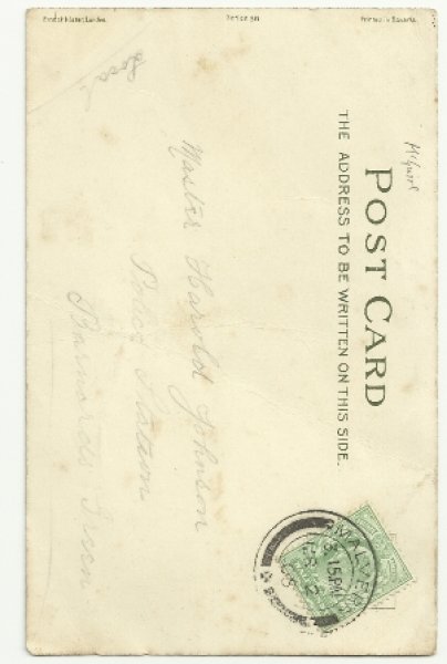 画像2: 女の子と一緒にお食事をする猫 Helena Maguire (2)