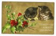 画像1: ２匹の猫たち　クリスマスカード　Helena Maguire (1)