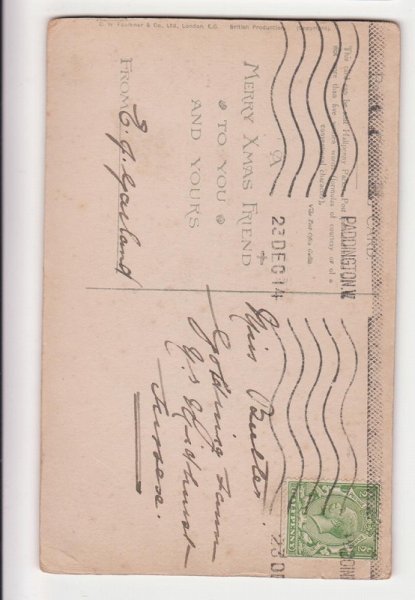 画像2: 4匹の猫たち (2)