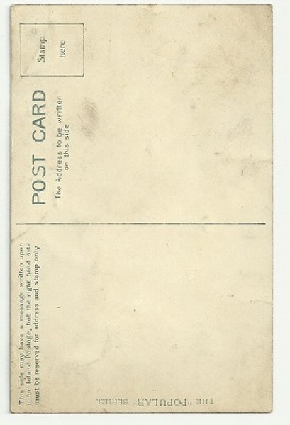 画像2: お花と猫 Helena Maguire (2)